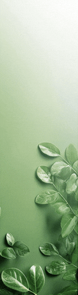 Reklam