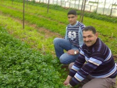 Antalya'da doğaya yolculuk: Kırcami