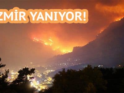 1000 futbol sahası büyüklüğündeki alan kül oldu