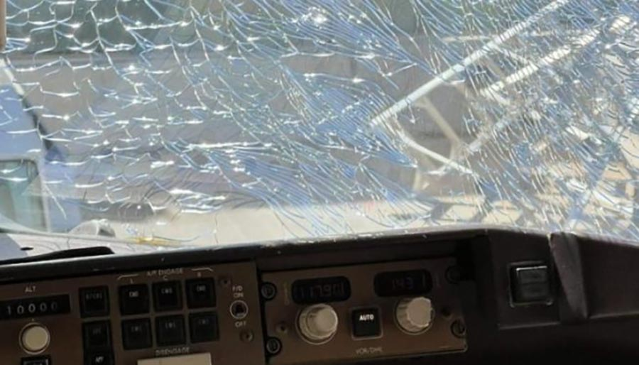 Antalya’dan kalkan uçağın camına kuş sürüsü çarptı