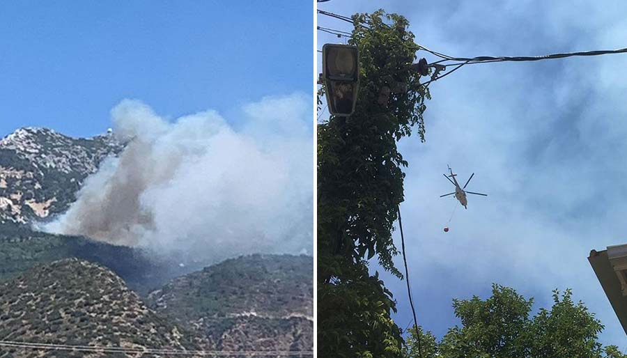 Datça ve Alaçatı'da orman yangını çıktı