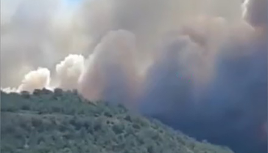Midilli Adasında orman yangını
