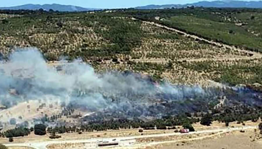 İzmir’de tarım arazisinde çıkan yangın kontrol altına alındı