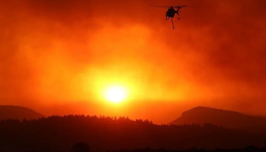 Yunanistan'daki orman yangınında 18 ceset bulundu