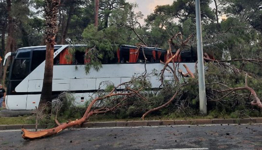 Antalya’da otel servis otobüsünün üzerine ağaç devrildi, çok sayıda yaralı var