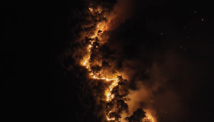Kemer-Göynük'teki orman yangını dördüncü gününde