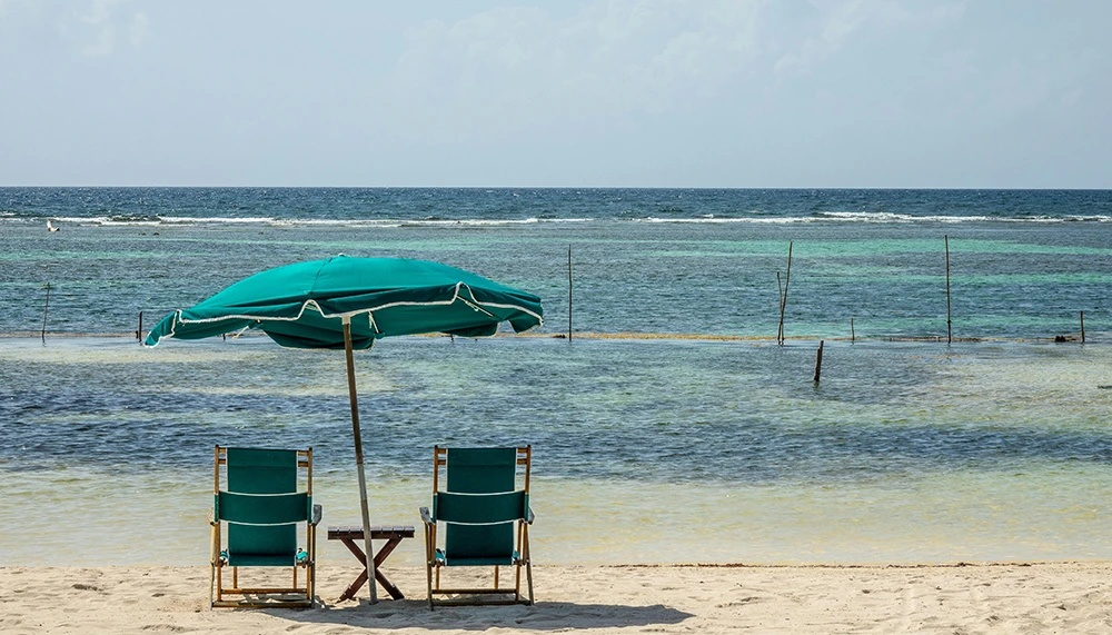 Almanya’da tatil rezervasyonlarında sert düşüş