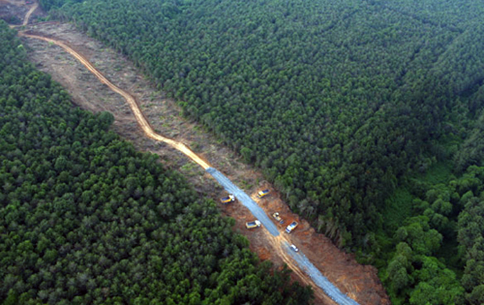 3. köprü sadece ormanı değil, SİT alanlarını da tehdit ediyor