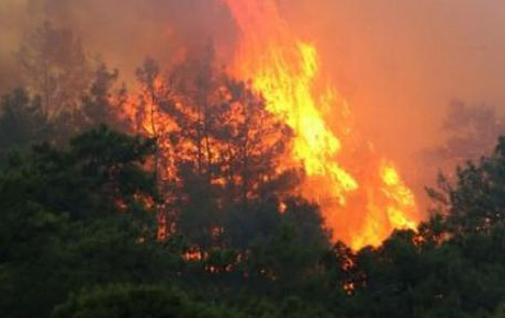 Marmaris'te kabus gibi gece: Üç bölgede orman yangını