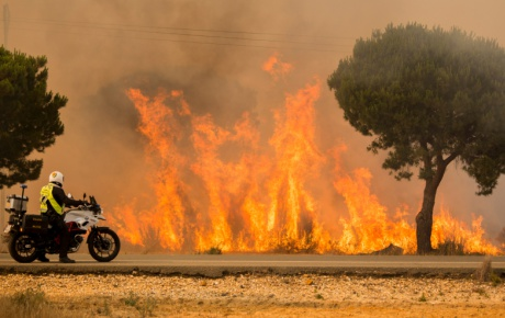 İspanya'da milli parkta yangın, yerel halk ve tatilciler tahliye edildi 