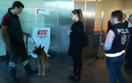 Bu sefer de Türk polisinden Avusturyalı yolculara köpekli arama