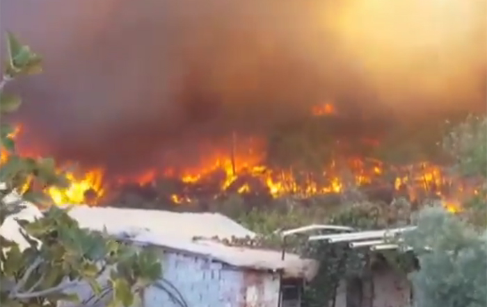 Antalya-Kumluca'da büyük orman yangını