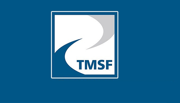 TMSF, dev enerji şirketini ihaleye çıkardı