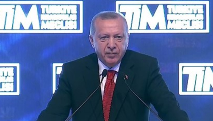 Erdoğan'dan kambiyo ve döviz kuru açıklaması