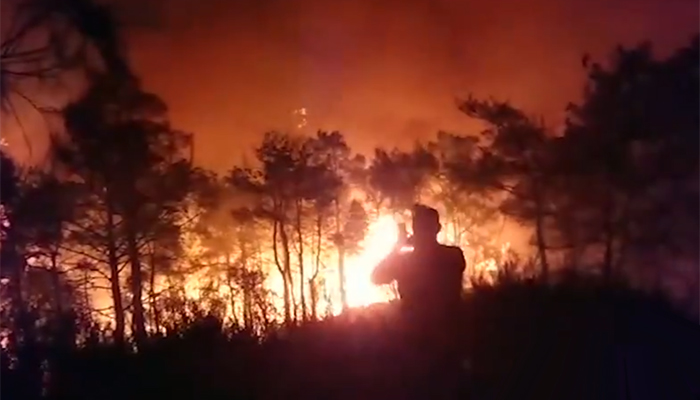Muğla-Ortaca'da orman yangını
