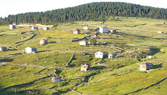Trabzon'da bir alan 'kesin koruncak hassas alan’ ilan edildi