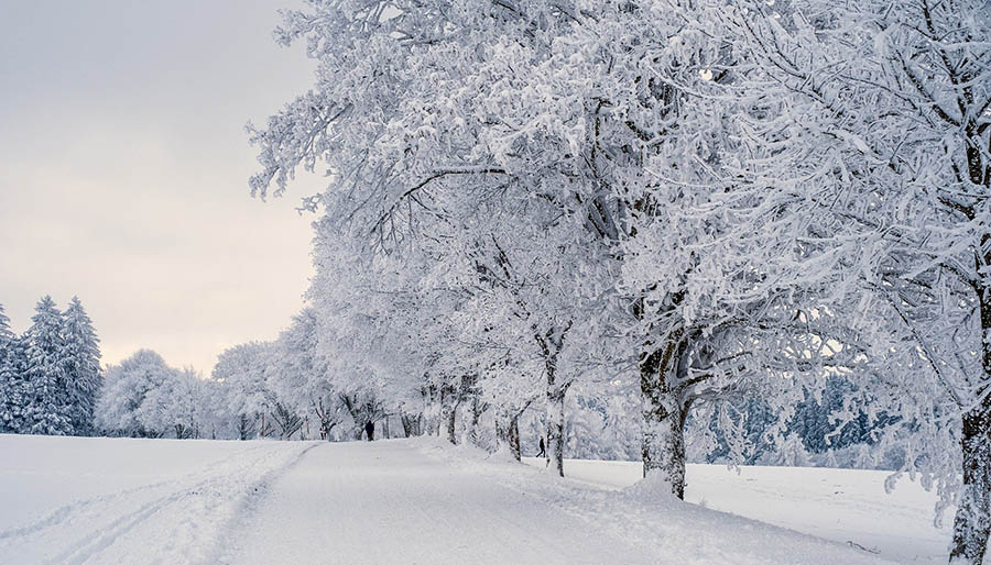 Meteorolojiden 22 ile kar uyarısı