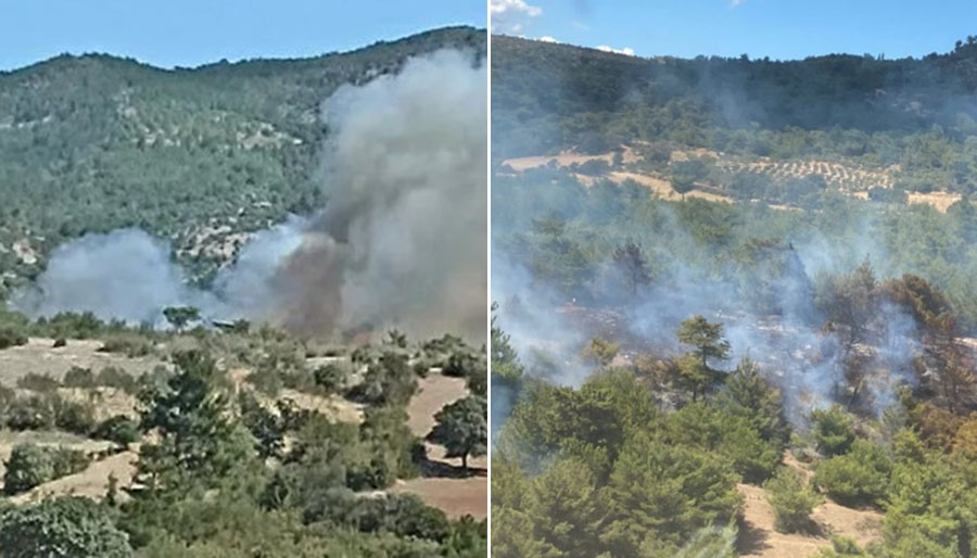 İzmir’de orman yangını