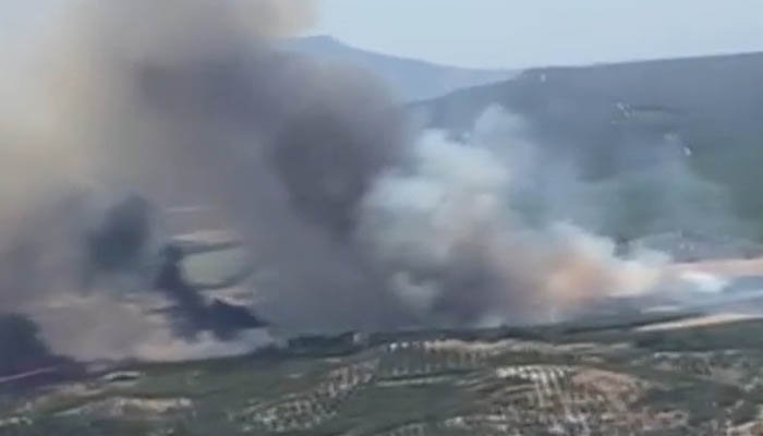 Foça’da orman yangını