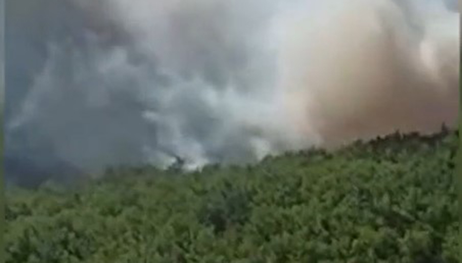 Kazdağları’nda orman yangını