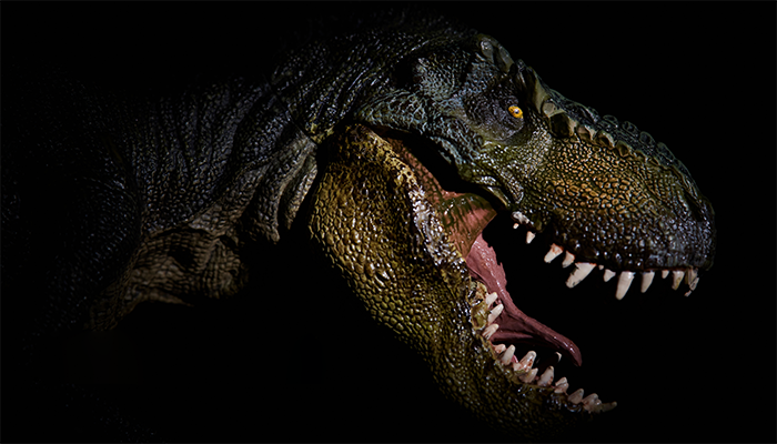 Dinozor