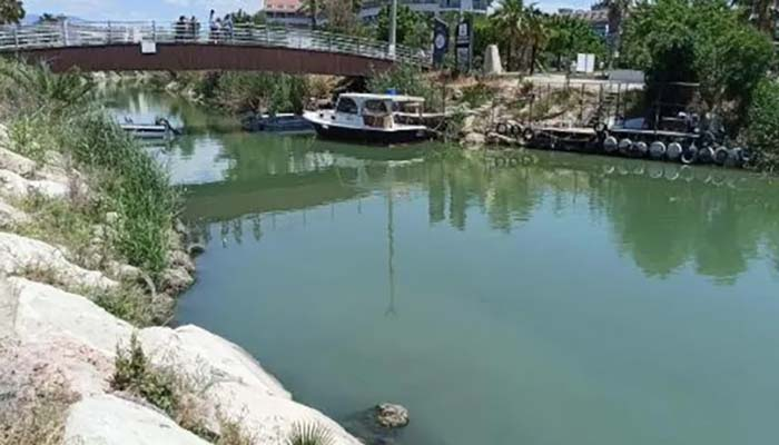 Otellerden dereye akıtılan kimyasallar balıkları öldürdü