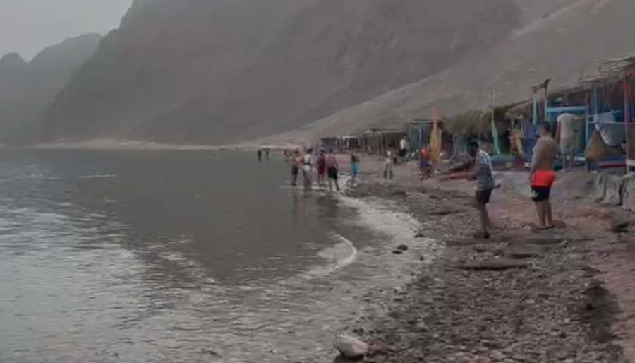Mısır'da köpek balığı yine turiste saldırdı