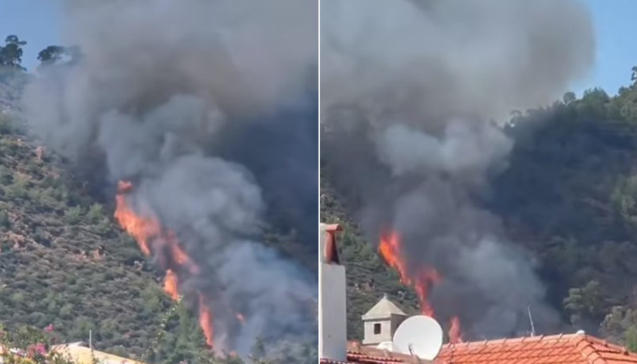 Marmaris’te yerleşim yerine yakın ormanlık alanda yangın