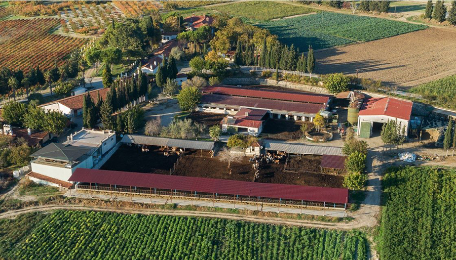 Turizmci Tonbul Ailesi’nin ürettiği zeytinyağlarına 3 ödül birden