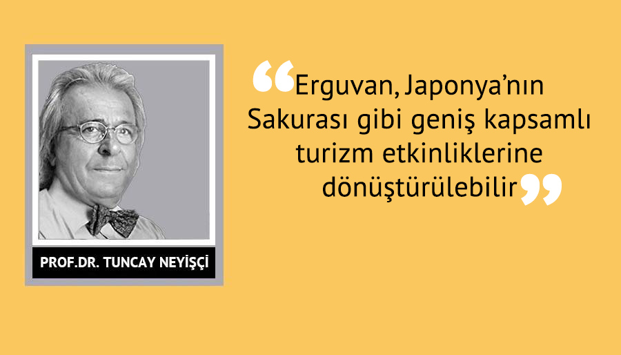 Mor turizm