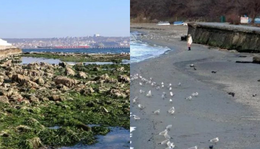 Kandilli’den çekilen Marmara Denizine ilişkin açıklama: Meteorolojik