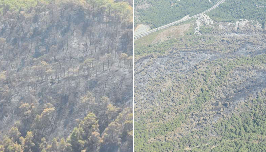 Kemer-Göynük’teki yangın kontrol altına alındı