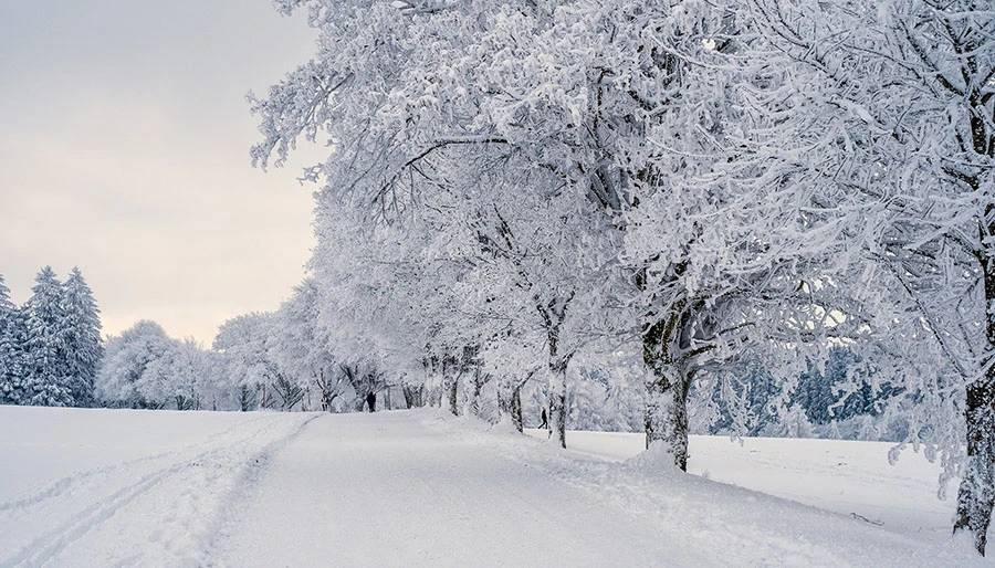 Meteorolojiden o bölgelere yoğun kar uyarısı