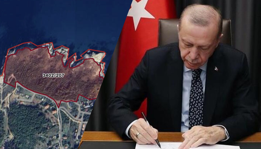 Deniz kıyısındaki çok sayıda arazi özelleştiriliyor 