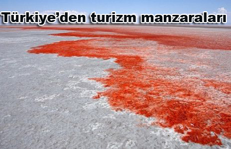 Tuz Gölü kanalizasyon atıklarını boşaltan oteller nedeniyle tehlikede