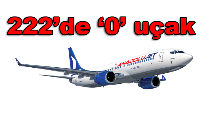 THY’nin şok Anadolujet kararı  