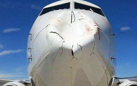 Kuş sürüsüne çarpan THY uçağı bu hale geldi