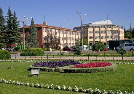 Prof. Dr. Meryem A. Kozak turizm eğitimdeki haksız rekabeti yazdı