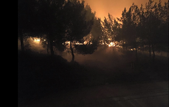 Kaz Dağları'nda yangın!