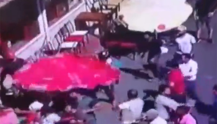 Büyükada'da faytoncularla akülü araç sahipleri birbirine girdi