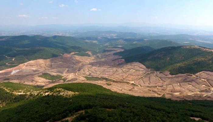 Kaz Dağları…