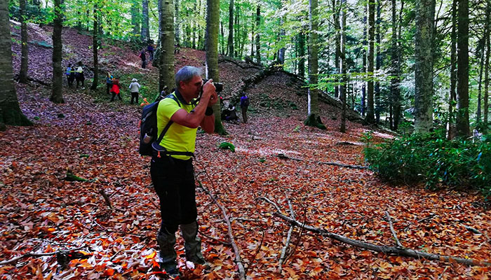 Yedigöller’de renklerin dansı