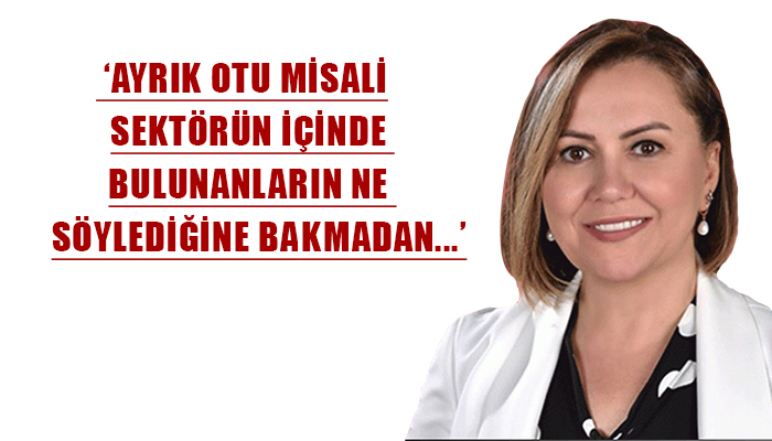 ‘Yasada TÜRSAB ile Bakanlık arasında derin görüş ayrılığı yok’
