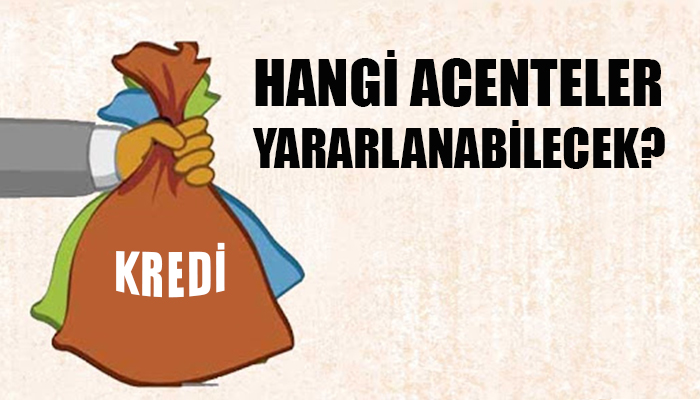 Küçük acentelere verilecek kredinin detayları belli oldu