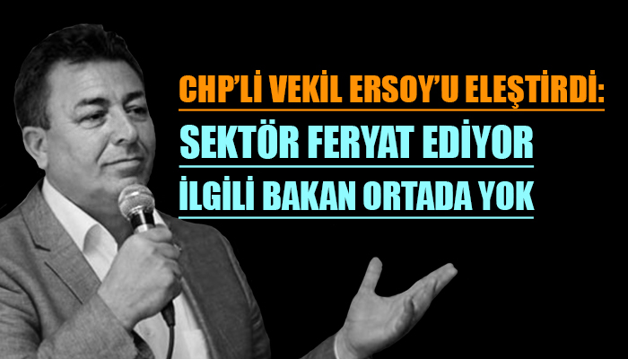 Mürsel Alban: Türkiye'nin stratejik sektörü turizm iflasın eşiğinde