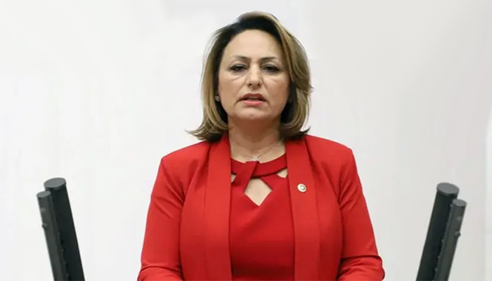 ''Avrupa’da yaşayan yüz binlerce Türk 'yaz tatili' tedirginliği yaşıyor''