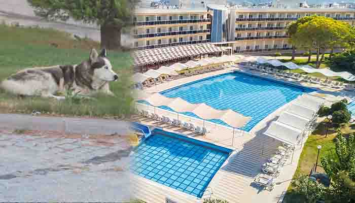 Otelin sadık dostunu bulana her şey dahil tatil hediye edecek