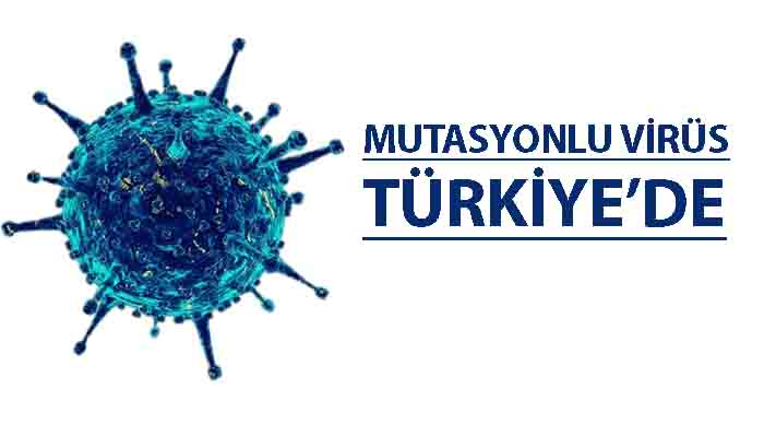 İngiltere'den gelişler tamamen durduruldu