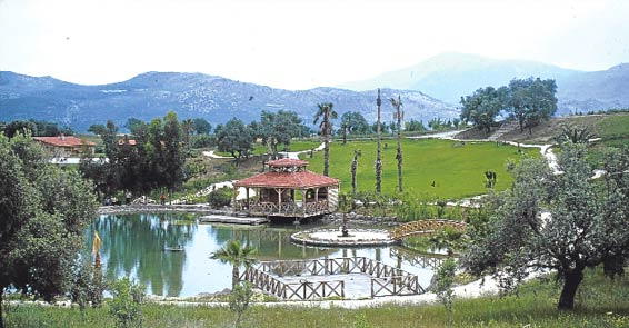 Tansu Çiller'in çiftliğinde 7 bin 750 şişe bandrolsüz içki ele geçirildi