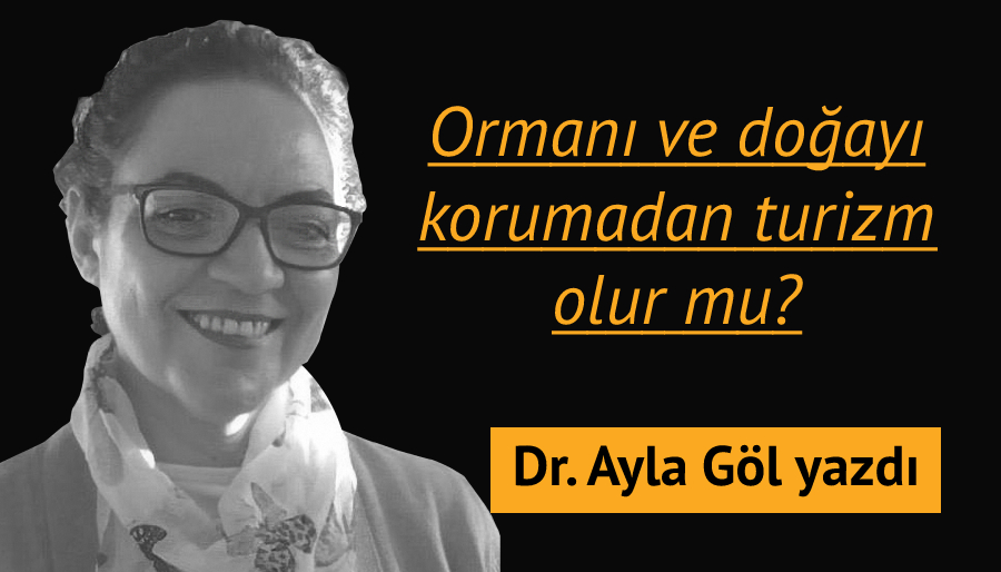 Amaç Antalya sahiline bir başka otel daha mı yapmak?
